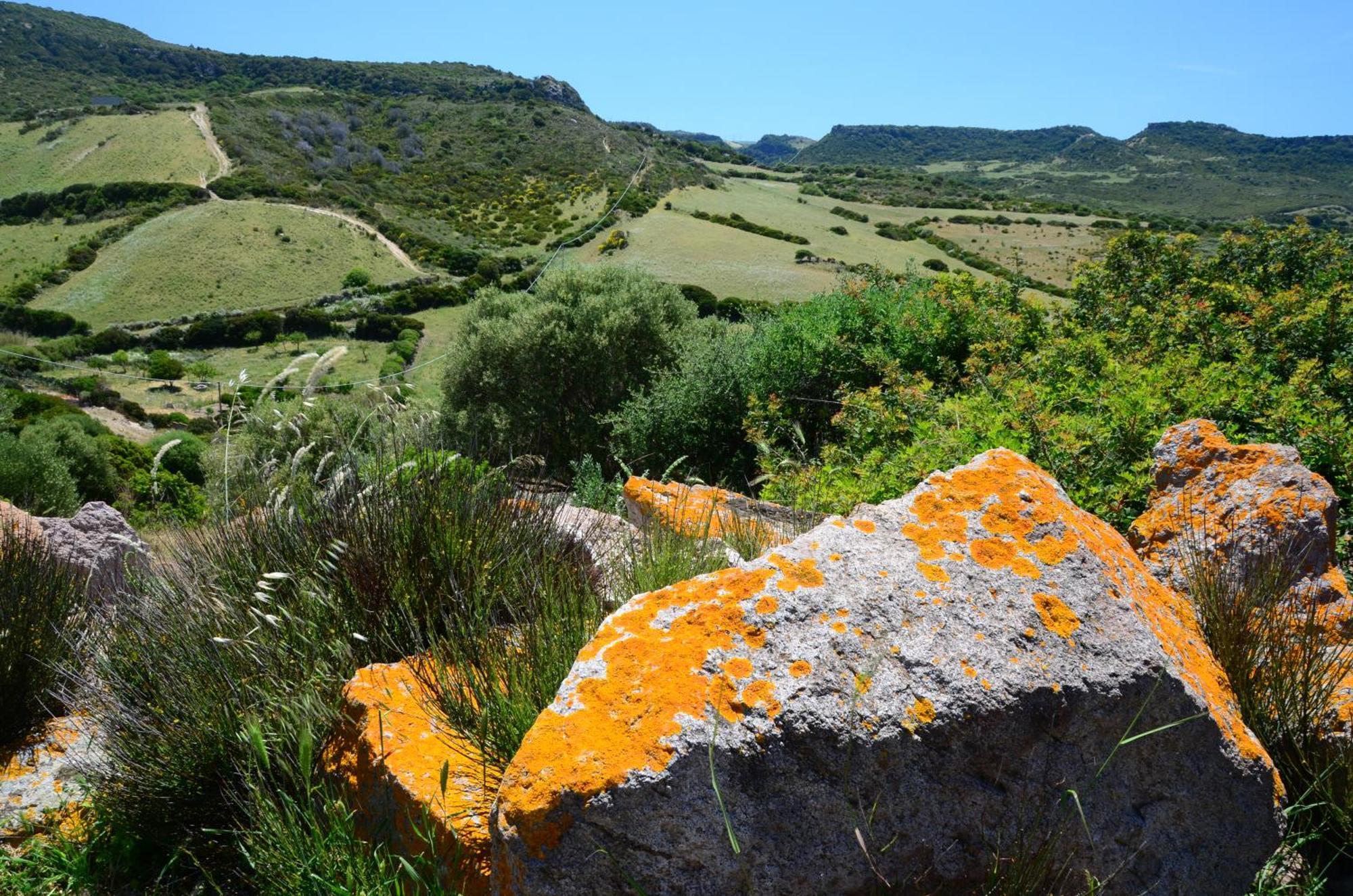 Villetta Muntelgu Castelsardo Exterior photo